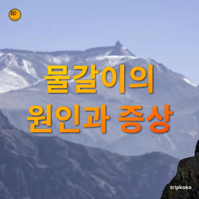 여행 중 물갈이 예방 우리 몸에 익숙하지 않은 균과의 만남 관련 이미지