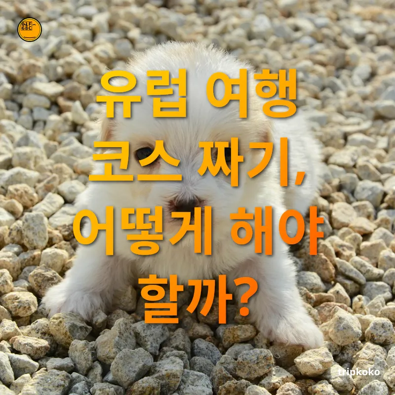 유럽 한달살기 - 다양한 여행지를 경험하자 유럽 한달살기 다양한 여행지를 경험하자 관련 이미지