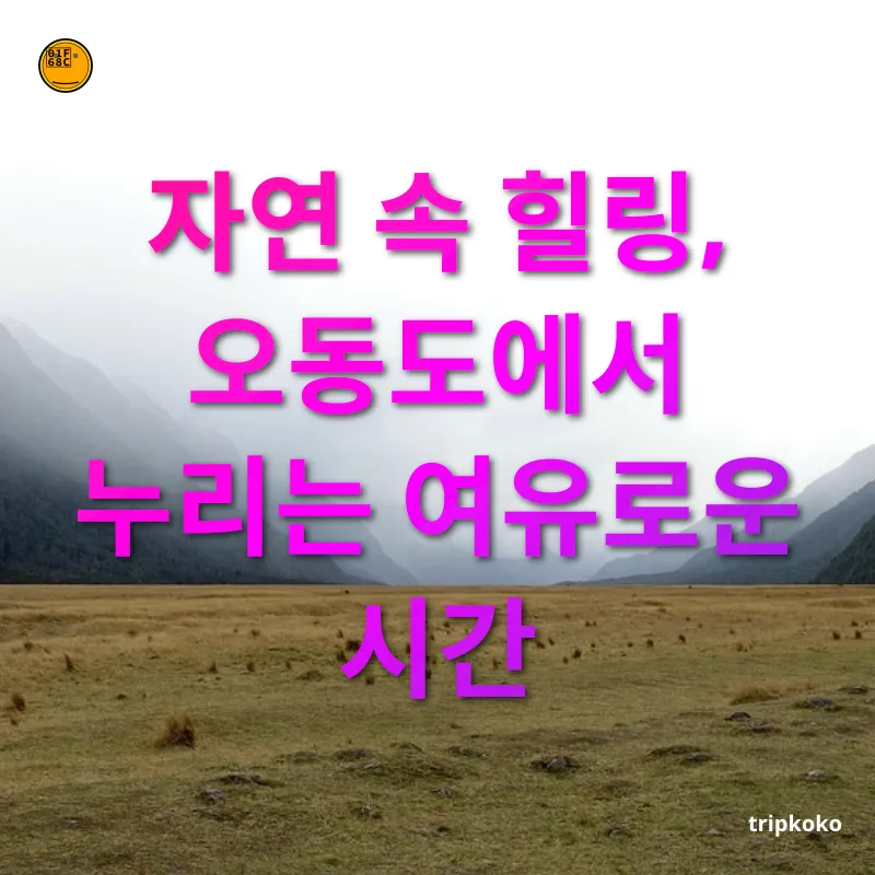 자연 힐링 여행 - 오동도의 매력 자연 힐링 여행 오동도의 매력 관련 이미지