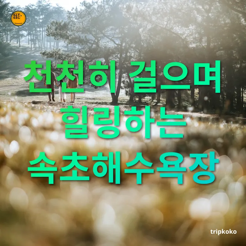 가족 여행 - 바다 산책의 즐거움 가족 여행 바다 산책의 즐거움 관련 이미지