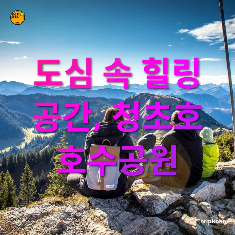 가족 여행 - 도심 속 힐링 공간, 청초호 호수공원 가족 여행 도심 속 힐링 공간, 청초호 호수공원 관련 이미지