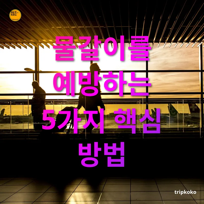 여행 중 물갈이 예방 물갈이를 예방하는 5가지 핵심 방법 관련 이미지