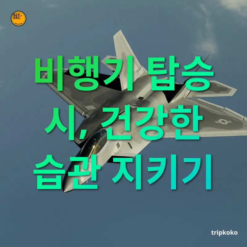 시차적응 비행기 탑승 시, 건강한 습관 지키기 관련 이미지