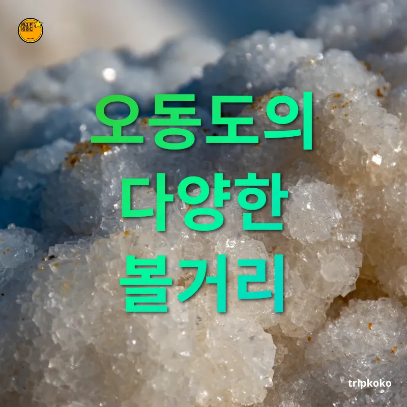 자연 힐링 여행 - 오동도의 다양한 볼거리 자연 힐링 여행 오동도의 다양한 볼거리 관련 이미지