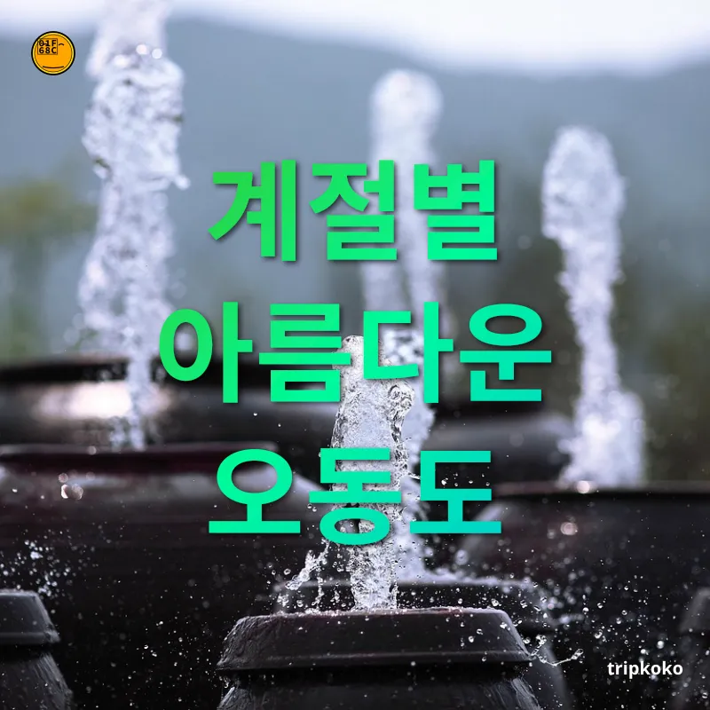 자연 힐링 여행 - 계절별 아름다운 오동도 자연 힐링 여행 계절별 아름다운 오동도 관련 이미지