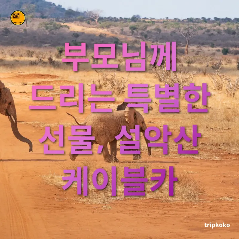 가족 여행 - 부모님께 드리는 특별한 선물, 설악산 케이블카 가족 여행 부모님께 드리는 특별한 선물, 설악산 케이블카 관련 이미지