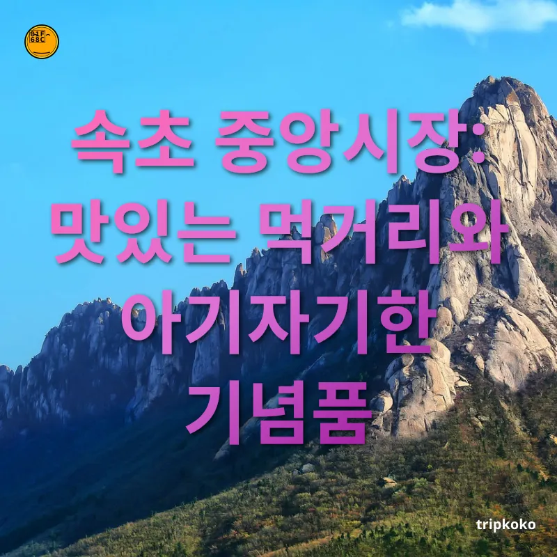 속초 여행 속초 중앙시장: 맛있는 먹거리와 아기자기한 기념품 관련 이미지