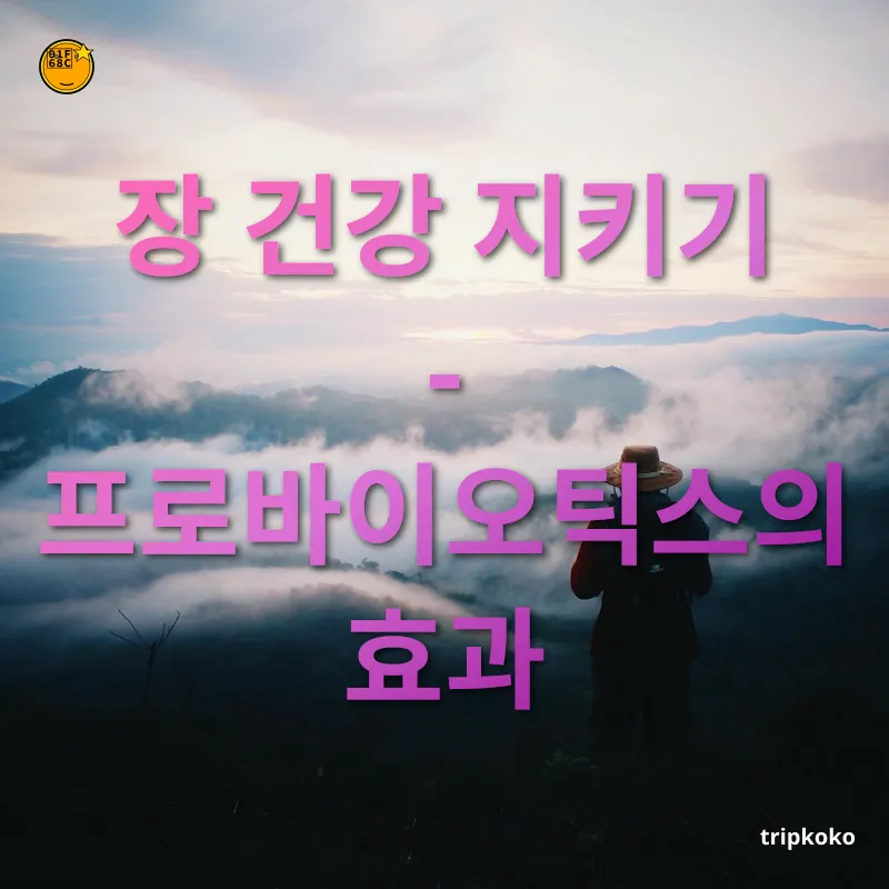 여행 중 물갈이 예방 장 건강 지키기 - 프로바이오틱스의 효과 관련 이미지