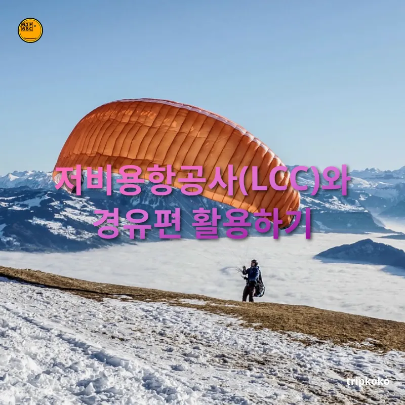항공권 싸게 구매하기 - 저비용항공사(LCC)와 경유편 활용하기 항공권 싸게 구매하기 저비용항공사(LCC)와 경유편 활용하기 관련 이미지
