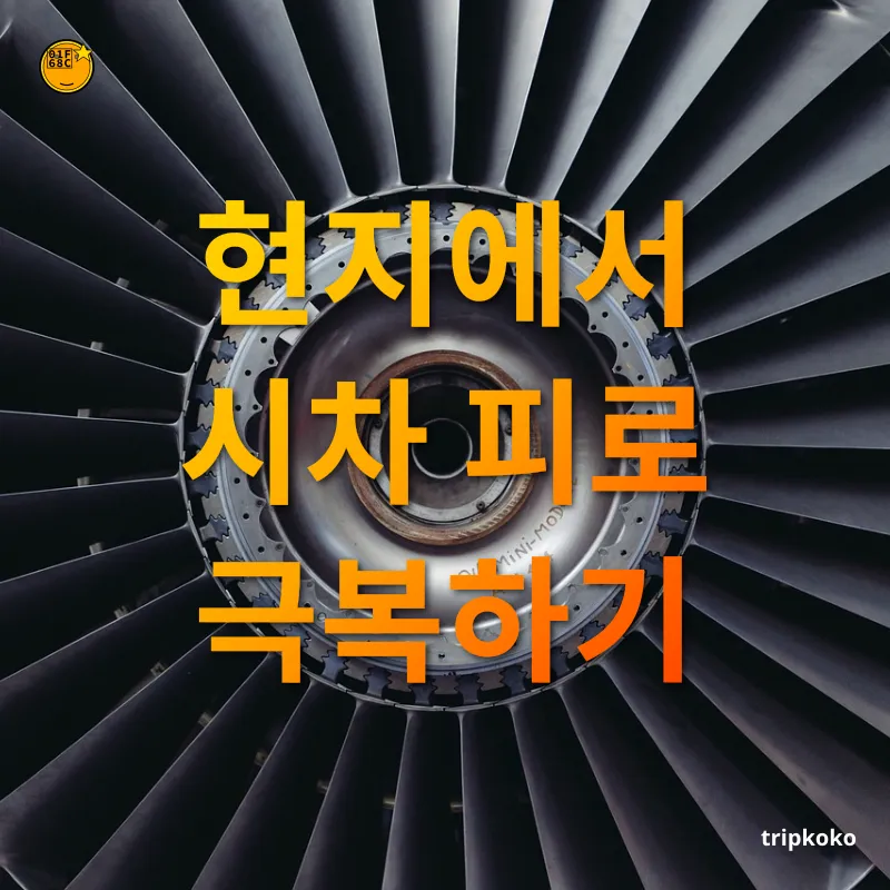 시차적응 현지에서 시차 피로 극복하기 관련 이미지