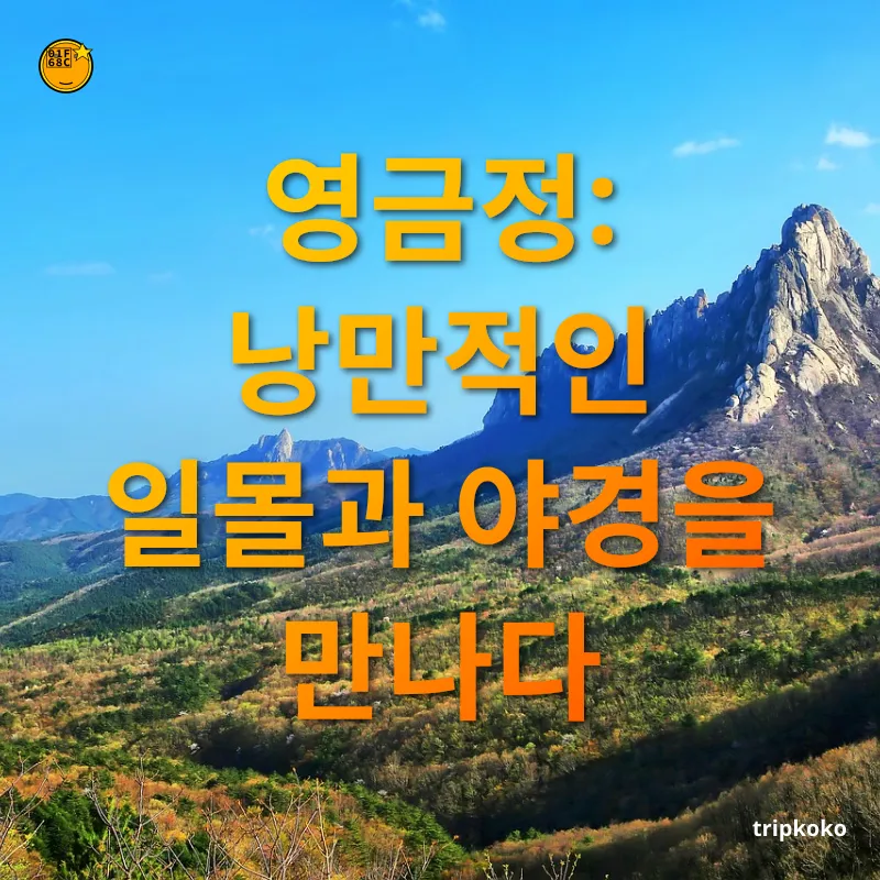 속초 여행 영금정: 낭만적인 일몰과 야경을 만나다 관련 이미지