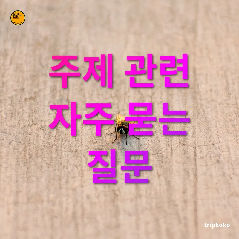 여행 중 물갈이 예방 주제 관련 자주 묻는 질문 관련 이미지