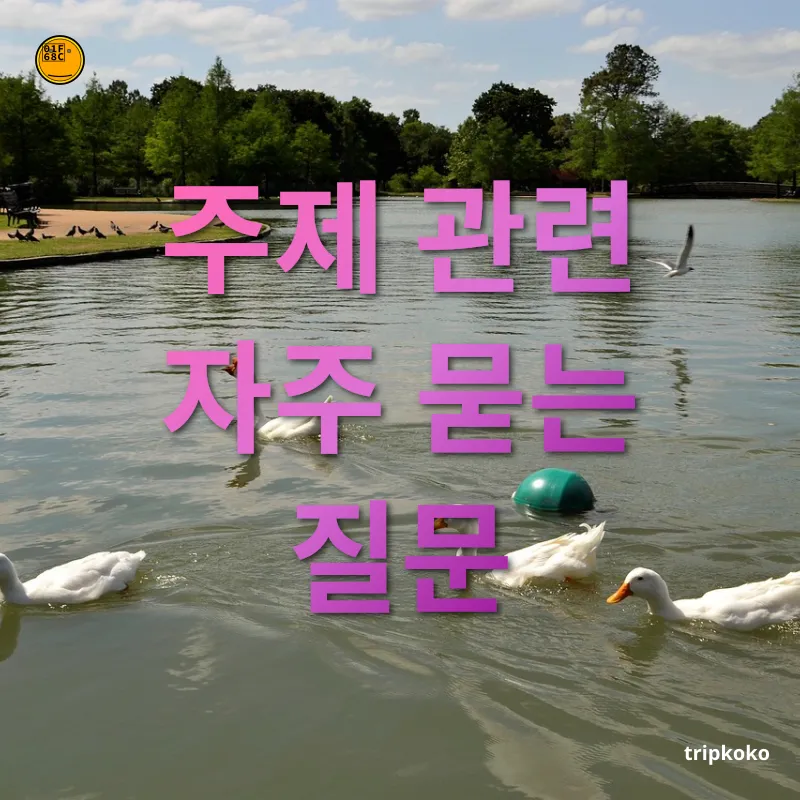 반려견 동반 여행 주제 관련 자주 묻는 질문 관련 이미지