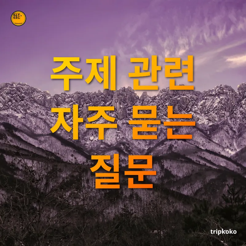 속초 여행 주제 관련 자주 묻는 질문 관련 이미지