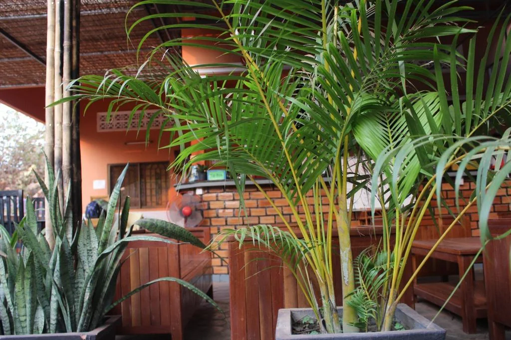 에코-홈 호텔 상세 정보 및 리뷰 Facilities