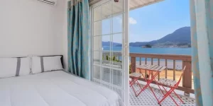 Tropical Rose - Interior view