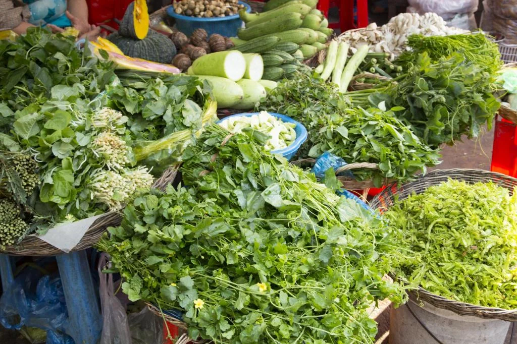 Lotus Homestay 호텔 상세 정보 및 리뷰 Phsar Leu Market - 1.73 km from property