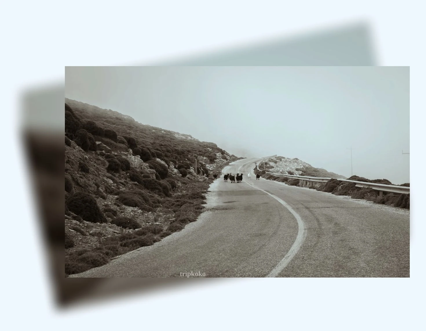 속초 여행 속초 대관람차: 하늘 높이 펼쳐진 아름다운 풍경 상세 설명 이미지