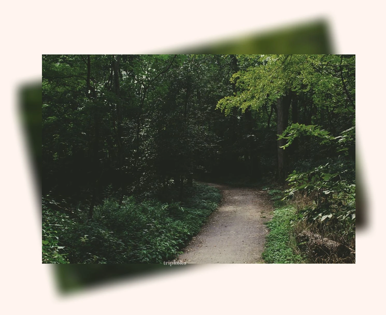 자연 힐링 여행 - 계절별 아름다운 오동도 상세 정보 자연 힐링 여행 계절별 아름다운 오동도 상세 설명 이미지